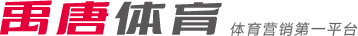 将吹进球队