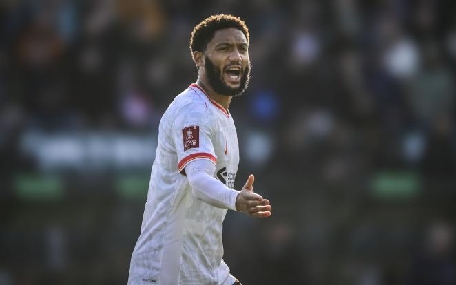 利打下了坚 利打下了坚