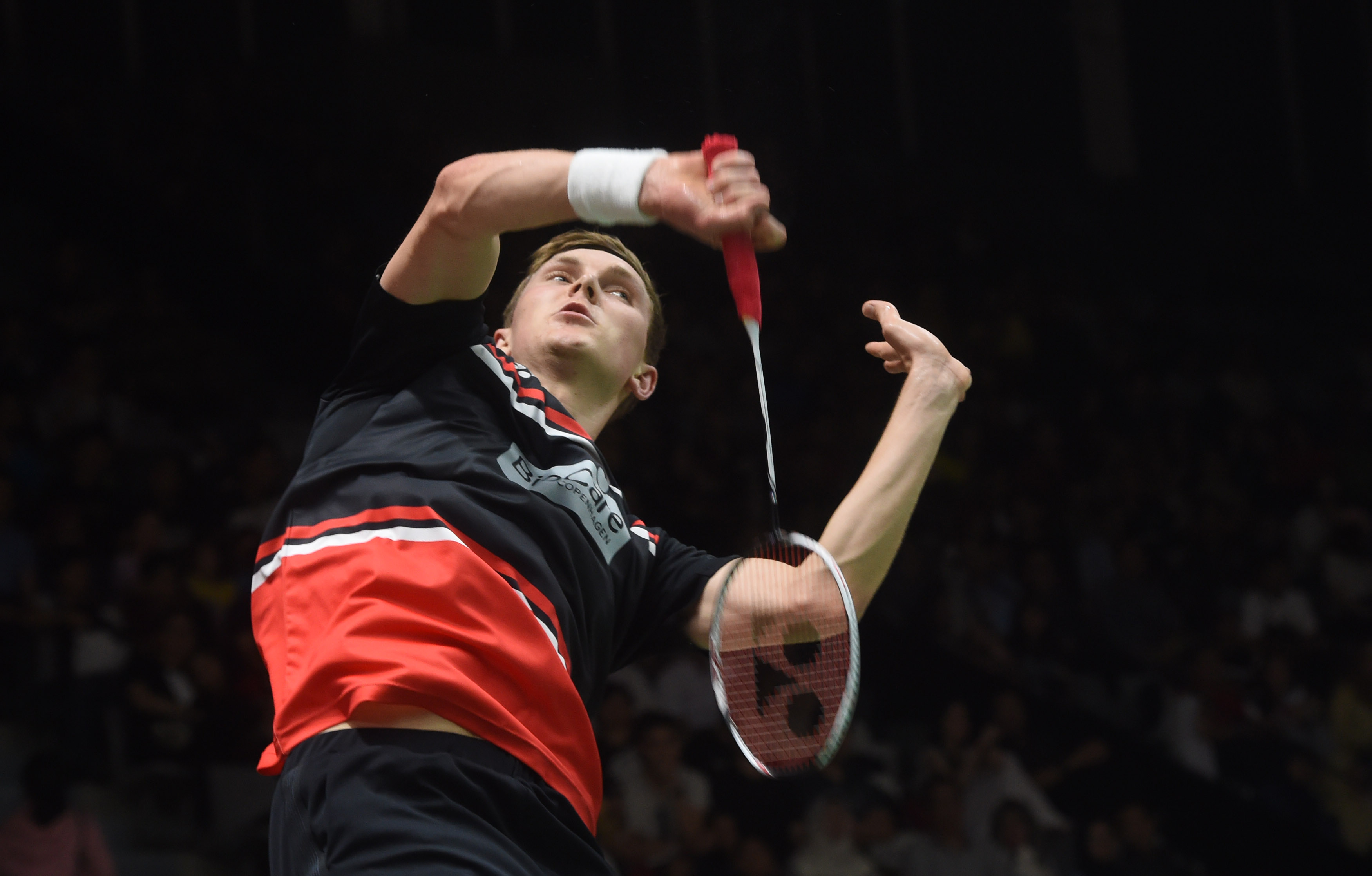 适应并融入 适应并融入