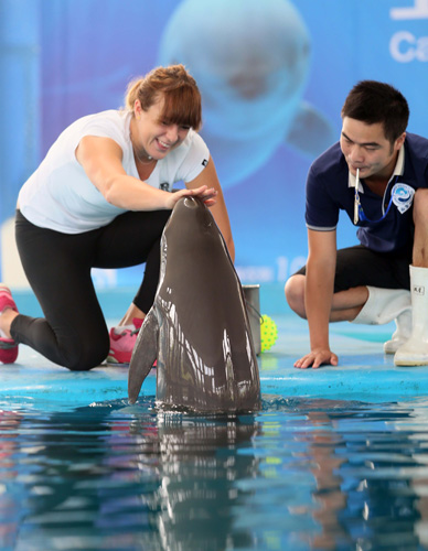 在类似处罚 在类似处罚